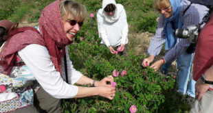 گردشگری کشاورزی در ایران