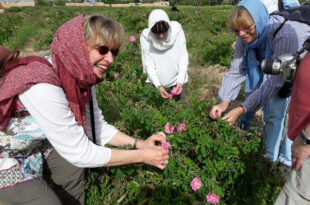 گردشگری کشاورزی در ایران