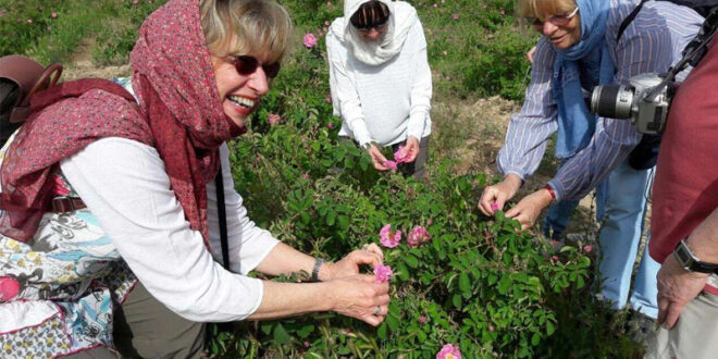 گردشگری کشاورزی در ایران