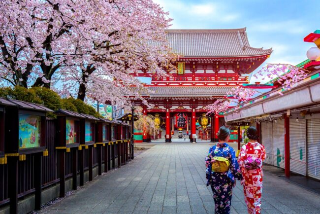 شکوفه‌های زیبا در بهار در ژاپن