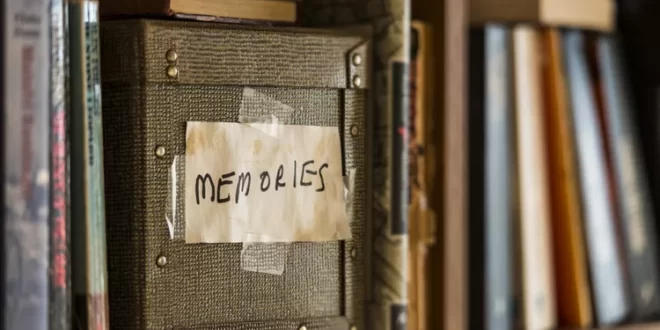 آیا حافظه انواع مختلفی دارد؟