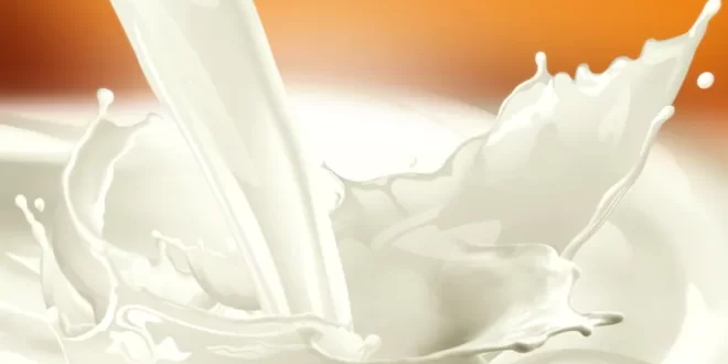 شیر سرشار از مواد مغذی و مفید است و فواید زیادی برای سلامتی دا رد