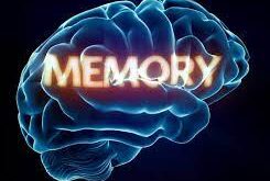 روش‌های مختلفی برای تقویت حافظه وجود دارد که هرکدام به نوبه خود می‌توانند کمک فراوانی به افراد کنند