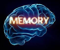 روش‌های مختلفی برای تقویت حافظه وجود دارد که هرکدام به نوبه خود می‌توانند کمک فراوانی به افراد کنند