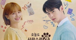 پوستر سریال یک روز خوب برای سگ بودن با بازی چا ایون وو و پارک گیو یونگ