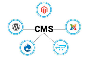 CMS چیست و چه مزایایی دارد؟