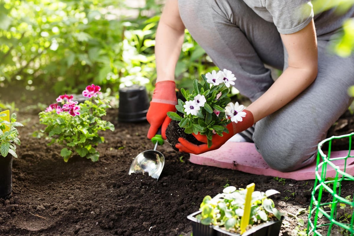 مهارت‌های مورد نیاز برای شغل باغبانی چیست
